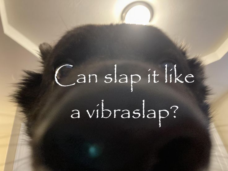can I slap it like a vibraslap