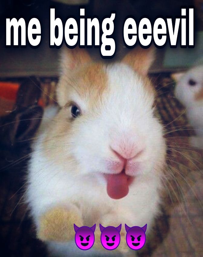a bunny with the text 'me being evil' and some demon emojis