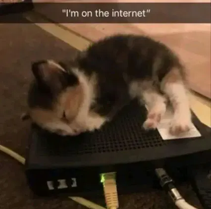 a kitty on the router with the text 'I am on the wifi'